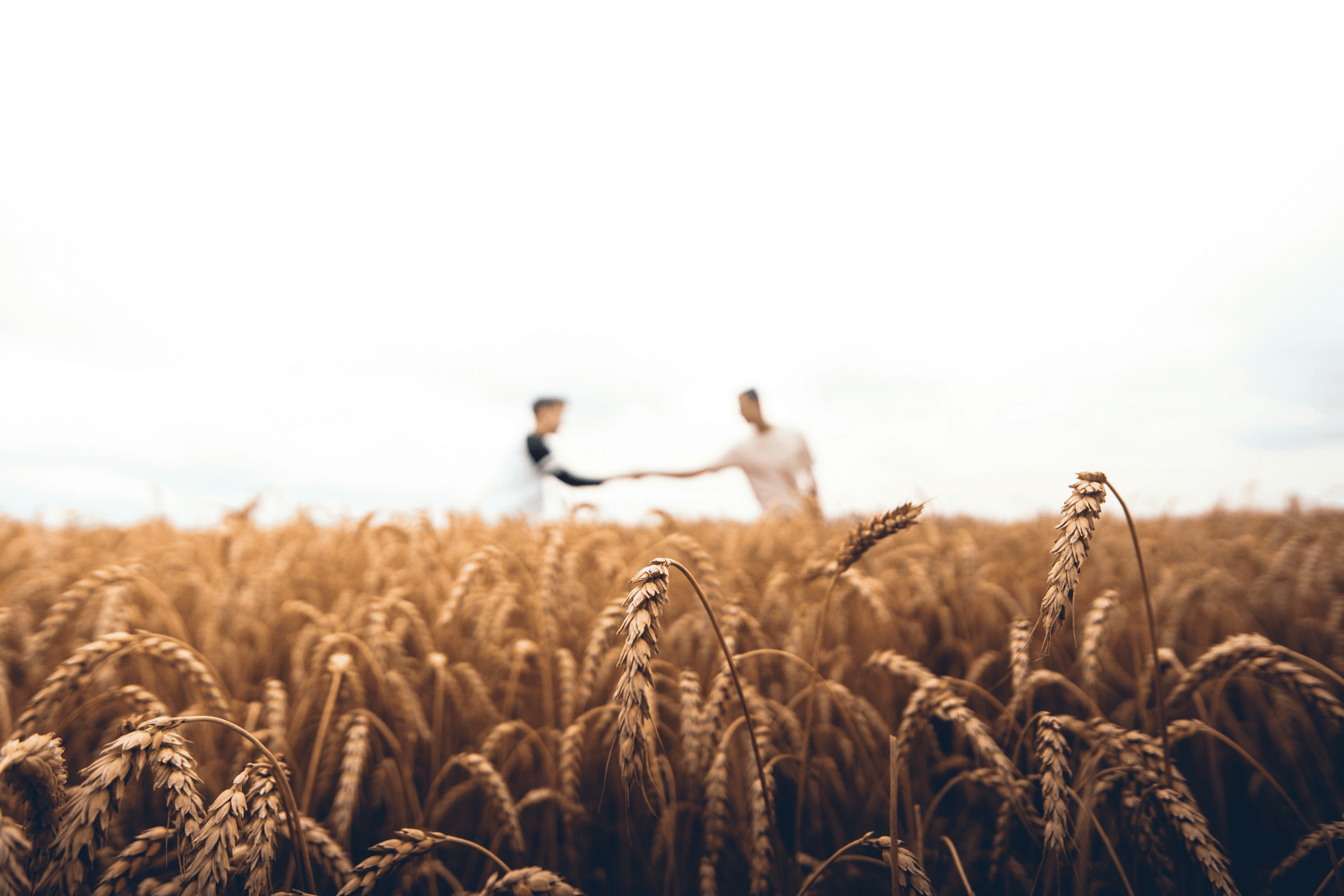 Agriculture and Food